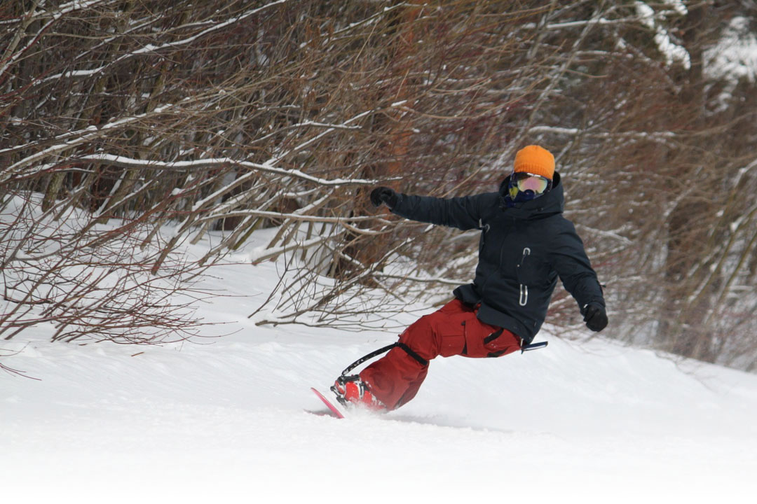ねりボー -NERIMA SAFETY SNOWBOADING ASSOCIATION-